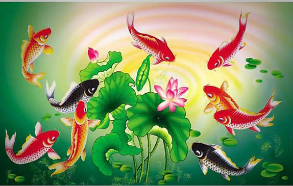 Tranh kính cửu ngư cho người tuổi Dậu image005